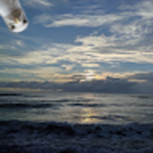 Meet your Posher, Alyssa - Picture 1 of 1